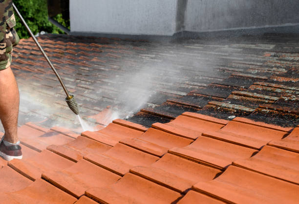 Best Affordable Power Washing  in Cheraw, SC