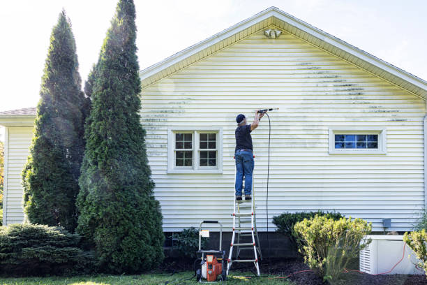 Best Concrete Pressure Washing  in Cheraw, SC